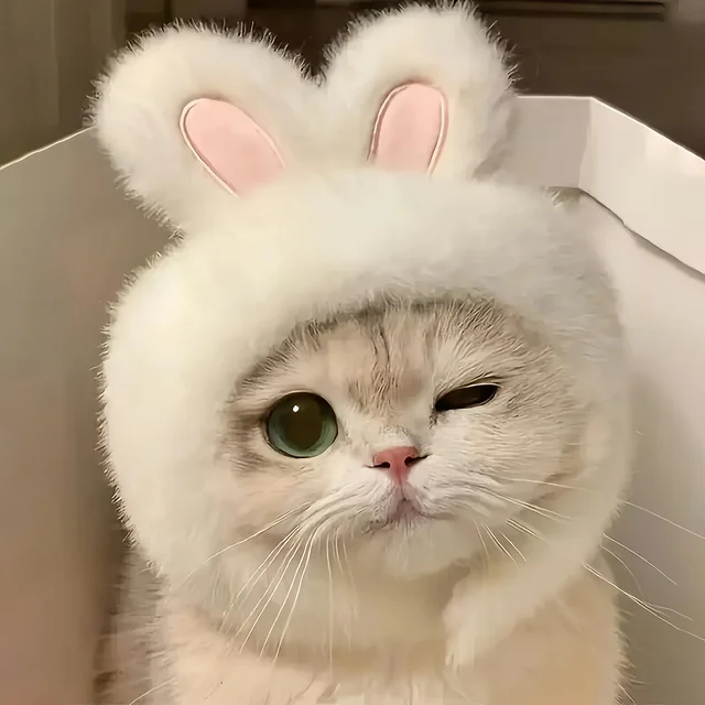1pc Bunny Ears Cat Hat Themed Pet Costume Knit Fabric Set Comfortable Polyester Pullover Headwear for Cats & Small Dogs 1pc Bunny Ears Cat Hat Themed Pet Costume Knit Fabric Set Comfortable Polyester Pullover Headwear for Cats & Small Dogs