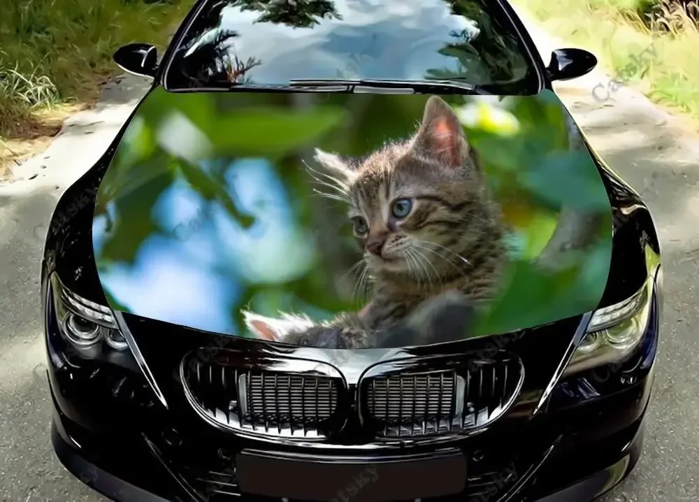 

Animal Cat Car hood sticker wrapped vinyl film hood decal sticker universal painting modification protective film decal