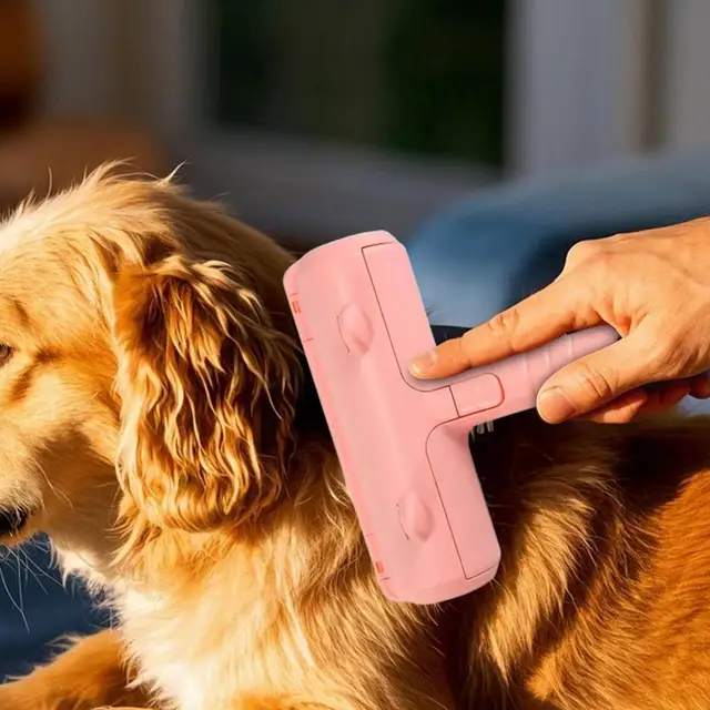 Lint Rollers Best Way To Get Dog Hair Off Sofa Dog Hair Remover