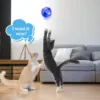 3Pcs Cat Motion Light Up Interactive Flash Ball Ghost Small Battery Powered Paranormal Equipment Portable LED Gift Pet Toys 5