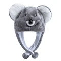 Raccoon