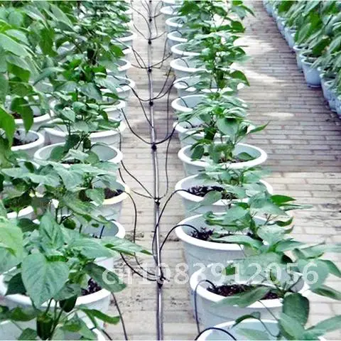 

200Pcs Garden Hose 1/8 Inch Curved Dripper Emitter Automatic Irrigation for Potted Plants Agriculture Water Drop