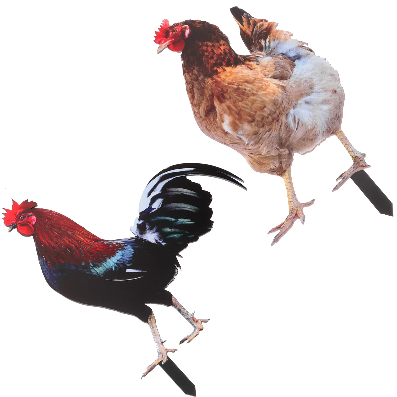 

Rooster Garden Stakes Acrylic Chick Signs Outdoor Hen Statue Chicken Yard Art Sculpture Ground Insert Ornament Backyard Patio