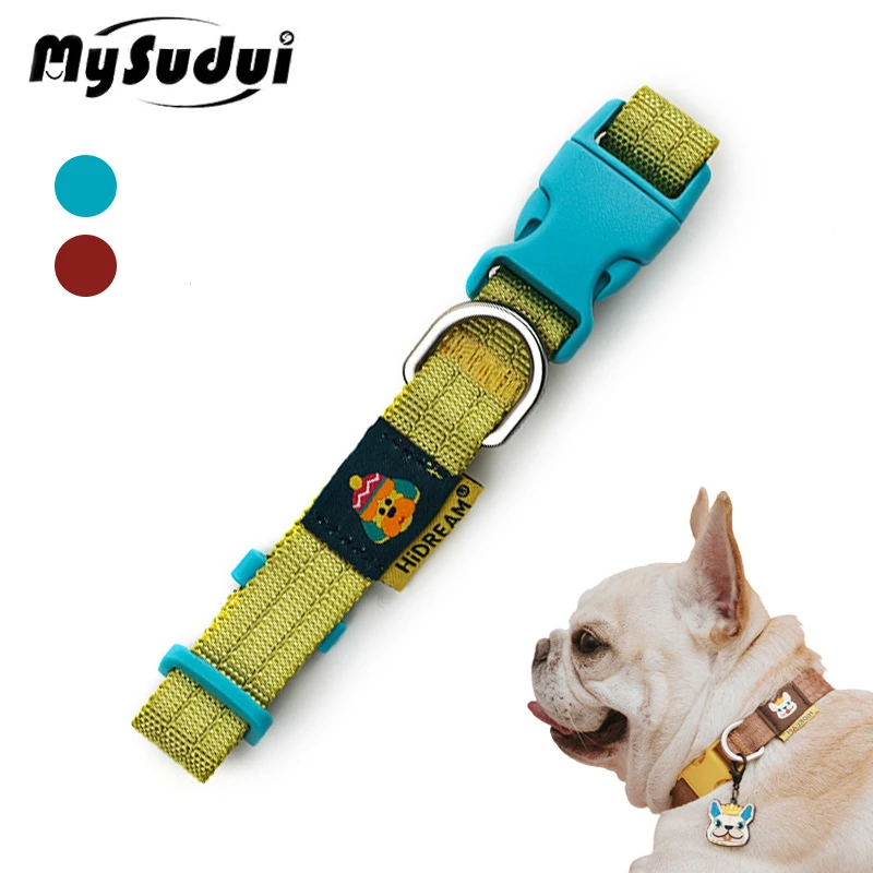 Should Your Dog Always Wear A Collar