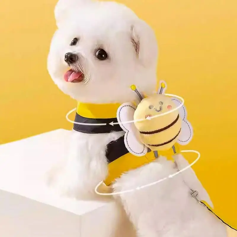  ϳ׽   Ʈ,   ϳ׽ ۱, ߿ å  ,   ϳ׽,  ,  Į   