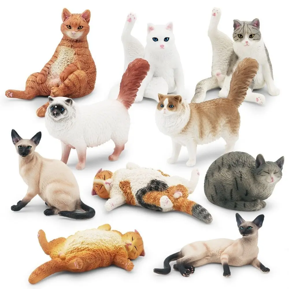 

PVC Pet Cat Figures Sleeping Kitten Siamese Cute Kids Toy Realistic Simulation Cat Animal Model Early Educatioanl