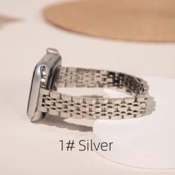 Elegant Stainless Steel Chain Strap - S10 - 42 41 40 38mm (01 silver)