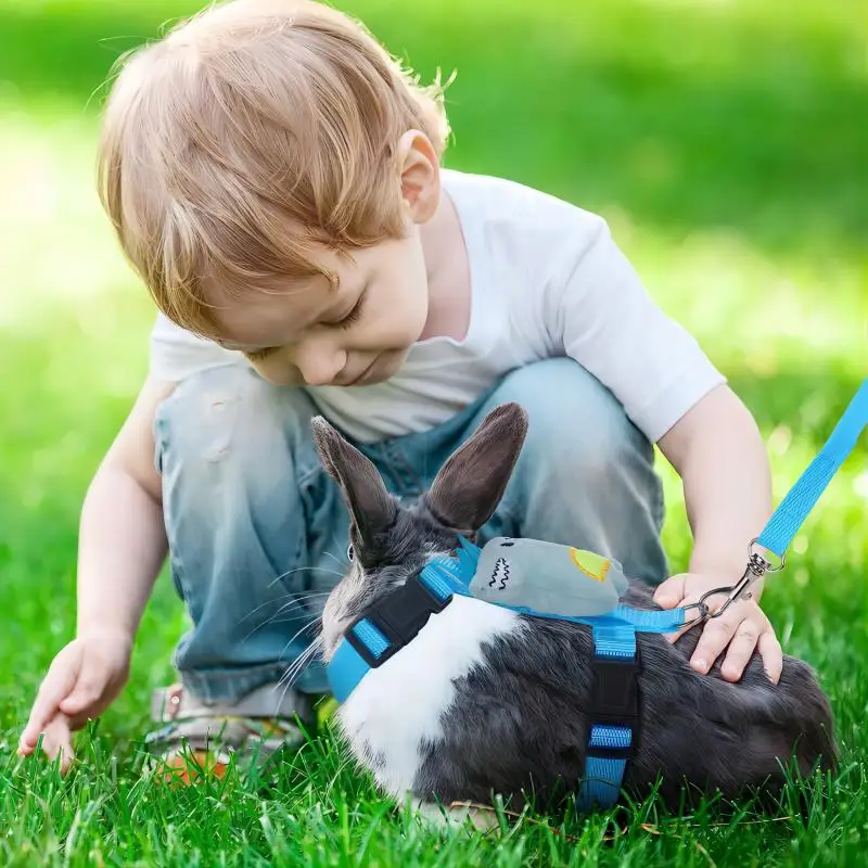 Rabbit Harness and Leash Set 3