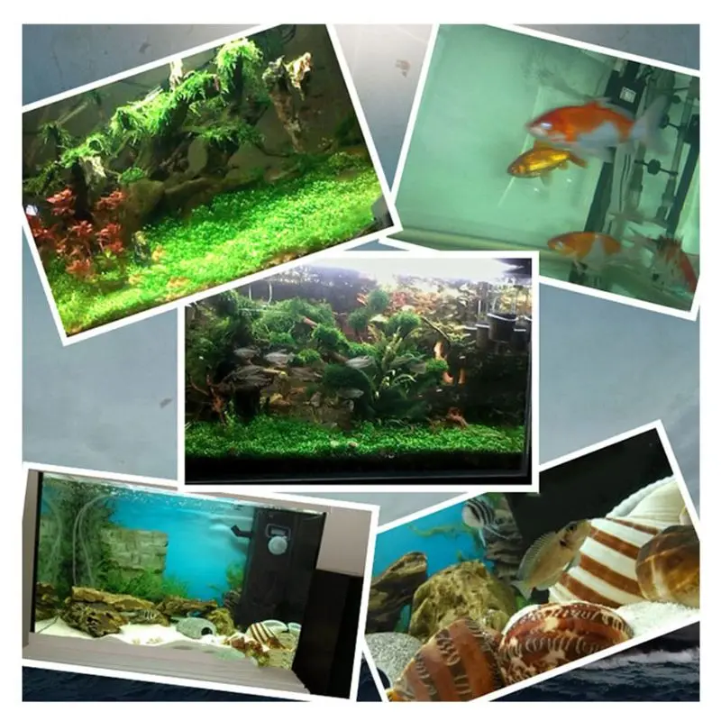 Aquarium Nitrifying Bacteria Super Concentrated For Tank Clean Puri
