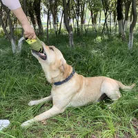 Simulated Wine Bottle Squeaky Toy