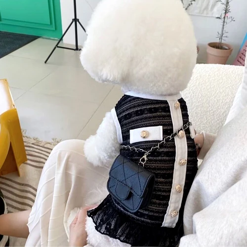 강아지 메쉬 통기성 치와와 요크셔 스커트, 소형 및 중형 강아지 귀여운 공주 스커트, 봄 여름 애완 동물 옷 3