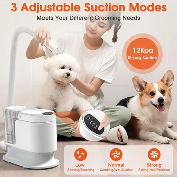 Pet Dryer 6 in 1 Dog Hair Vacuum Suction 99% Pet Hair Puppy 12KPa Strong Dog Grooming Vacuum Dogs Accessories Supplies Products 3
