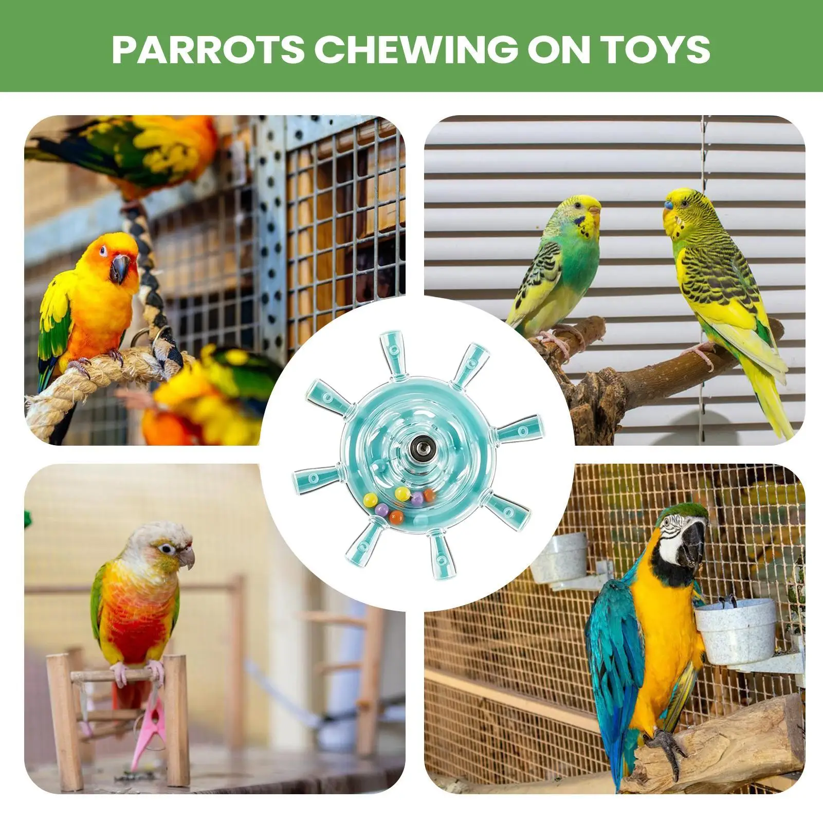 Rotating Bird Chew & Spin Toy with Exercise Wheel and Rattle