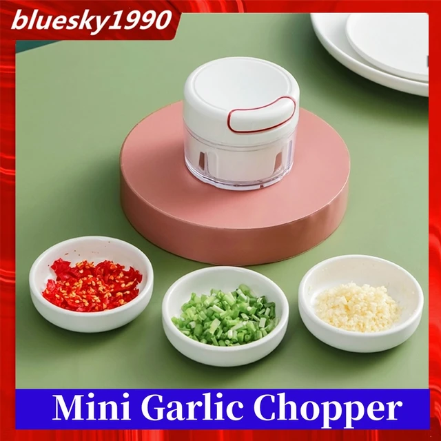 Buy Wholesale China Mini Garlic Grinder Onion Chopper Manual Food Processor  Speed Vegetable Cutter & Mini Garlic Grinder Onion Chopper at USD 1.1