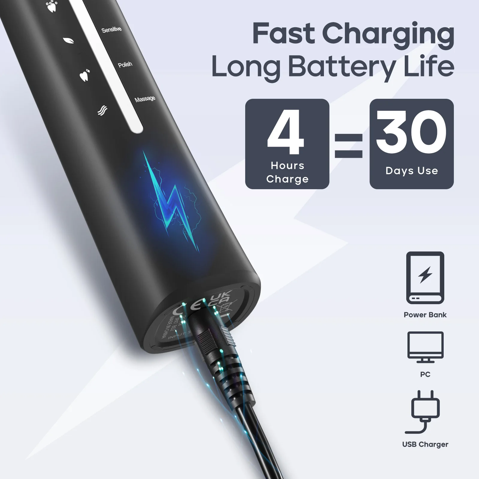 Seago Sonic Electric Toothbrush USB Rechargeable Adult Ultrasonic Teeth Cleaning 10 Replacement Toothbrush Heads