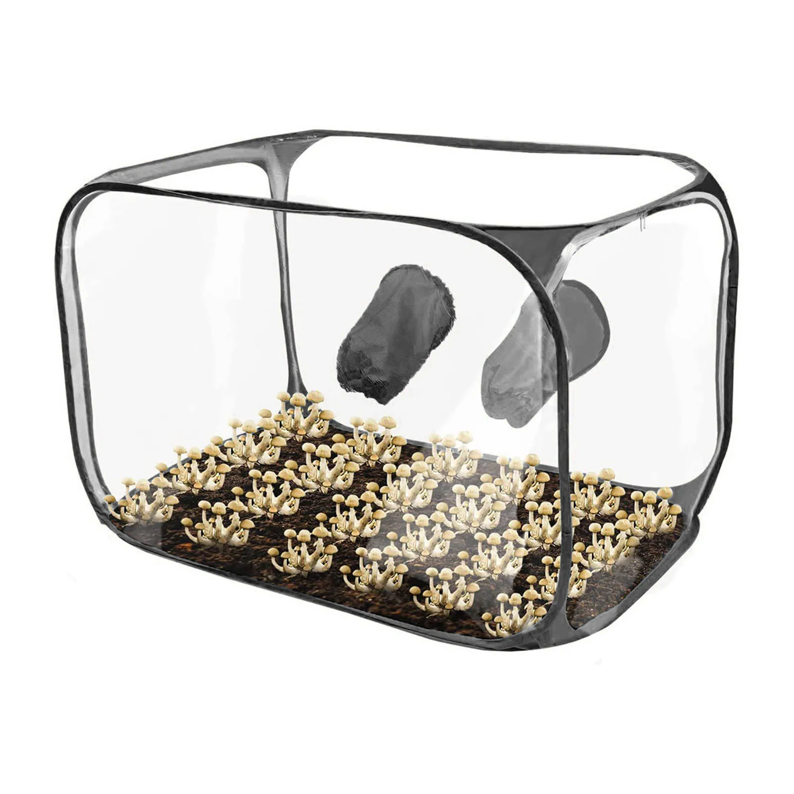 Portable Mushroom Growing Still Air Box Simple Operation Foldable PVC Wear Resistant Mushroom Container Set for Reserch