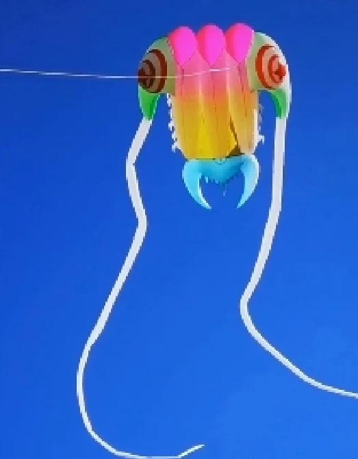 professional giant kite wind kites Trilobite soft Kite flying kites for adults outdoor toys Child kite large wind software