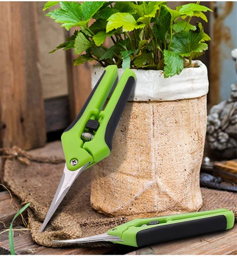 6.5 Inch Gardening Scissors Pruning Shears