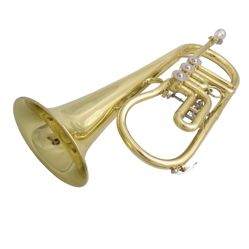 Bb Rotary Flugelhorn Musical Instruments Yellow Brass Material Lacquer Surface with Case Mouthpiece