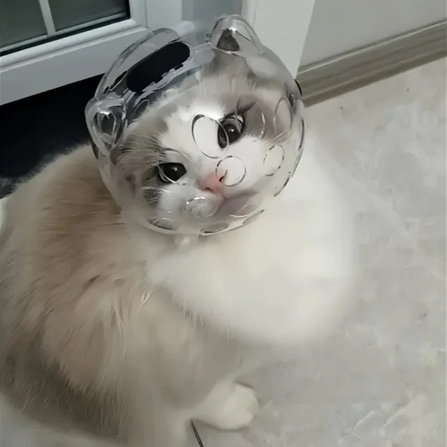 Breathable Cat Face Mask - Anti-Bite & Anti-Lick Round Pet Headgear for Grooming Bathing & Shedding ABS Material Claw Protector 4