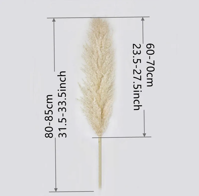 80Cm Large Pampas Grass Flowers Bouquet Fluffy Dried Floral Decoration - 5Pcs