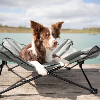 Elevated Dog Camping Cot Bed 1