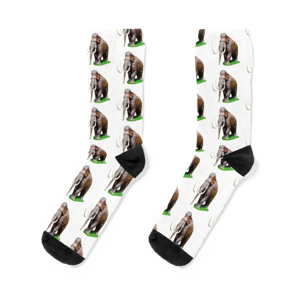 

Mammouth Outstanding in his Field Socks kawaii new in's Men's Socks Women Men's