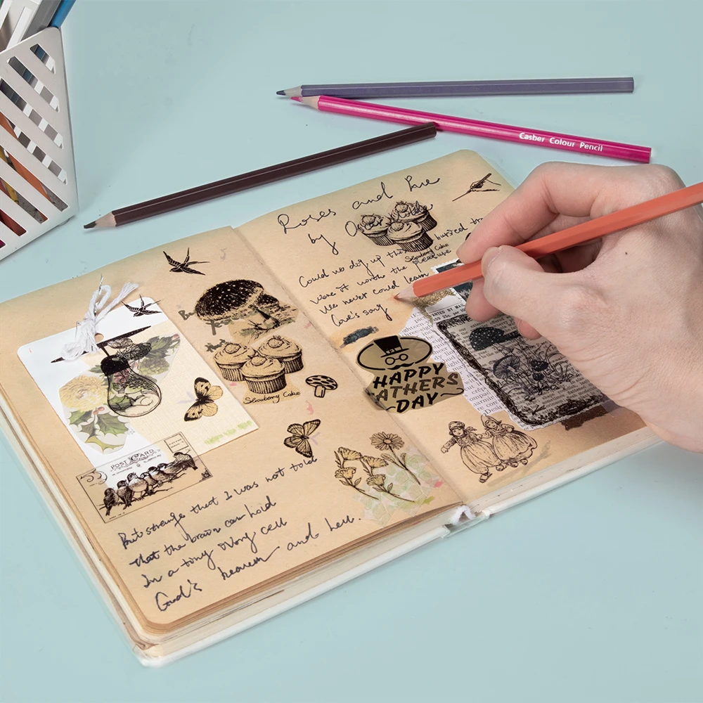 M02/M02pro 감열 스티커 용지, 다양한 색상 라벨 스티커, 자체 접착 라벨, 롤 폭 50/53mm, Phomemo 감열지