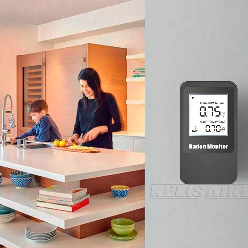 Professional Radon Tester Digital Radon Monitor RN55 Gas Detector