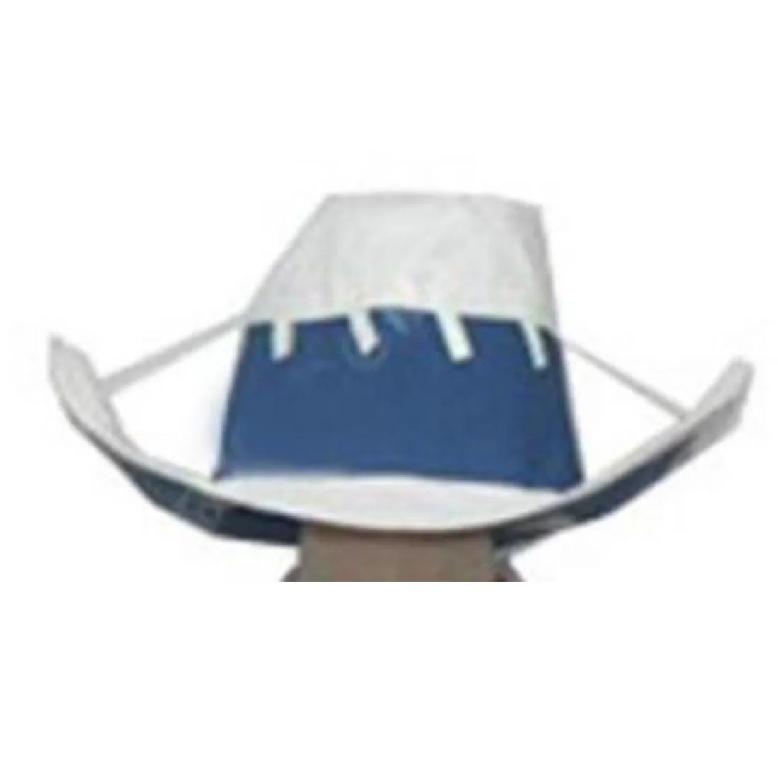 Elizabeth Liz Thompson Cosplay Hat