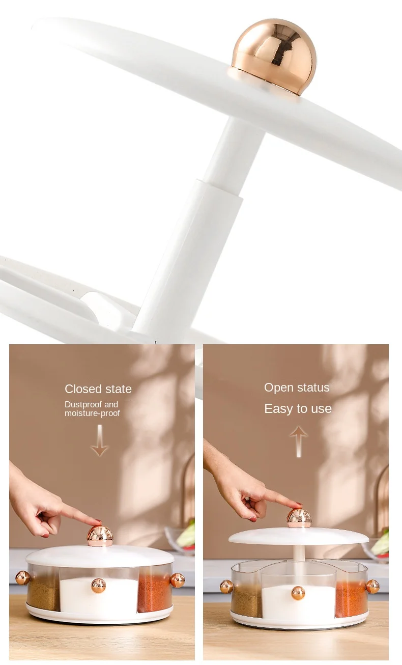 Kitchen Multifunctional Spice Dispenser 360 Rotating Large Capacity Spice Seasoning Box