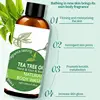 Organic Tea Tree Body Wash 5