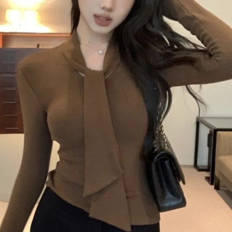 

Spring Autumn New Fashion Round Neck Long Sleeve Pullover Tee Casual Versatile Western T-Shir Commuting Clothing Women's Tops
