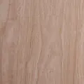 WT