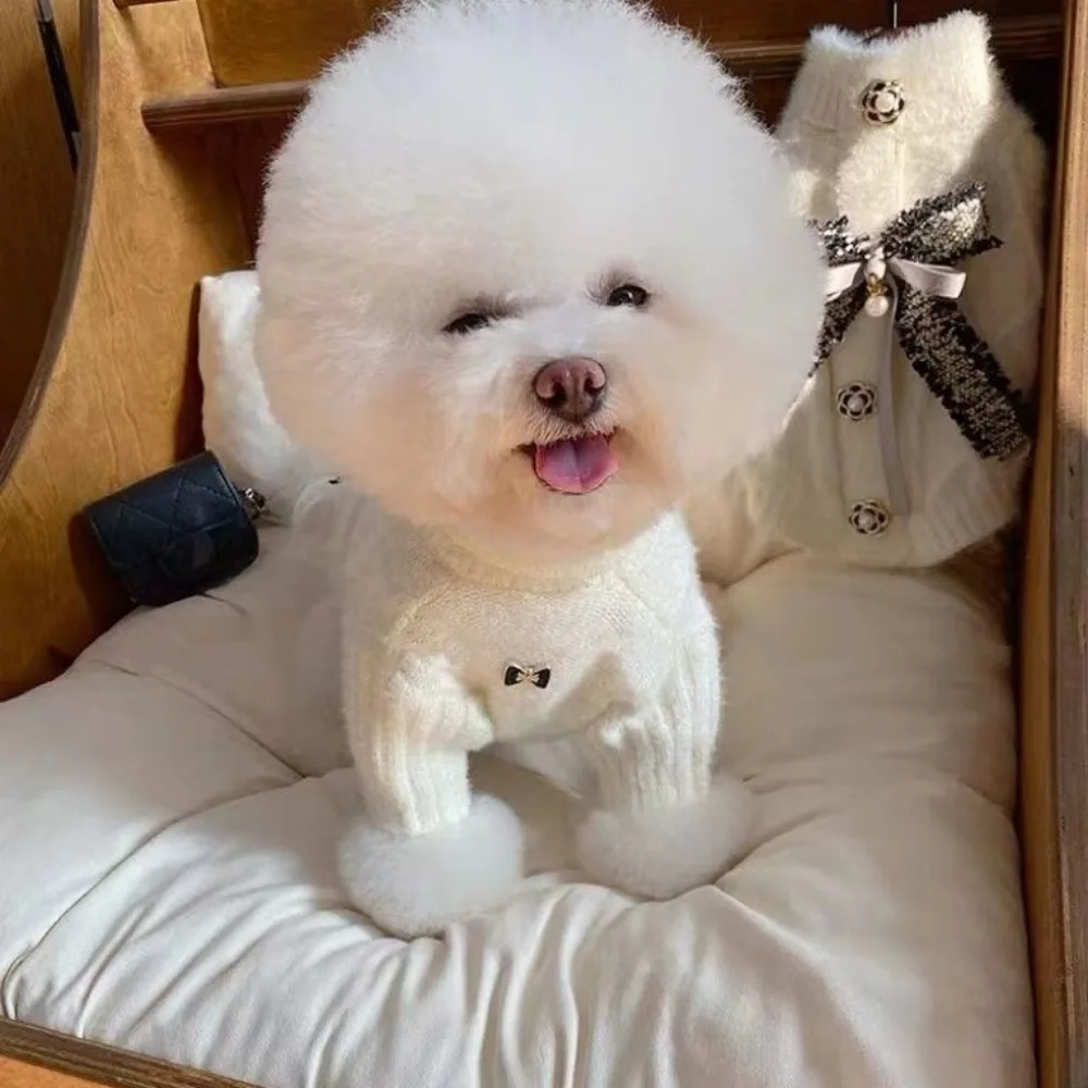 클래식 강아지 겨울 스웨터 터틀넥 소프트 워머 의류, 활 베이스 스웨터, 애완 동물 니트 테디 베어 요크셔, 소형견용