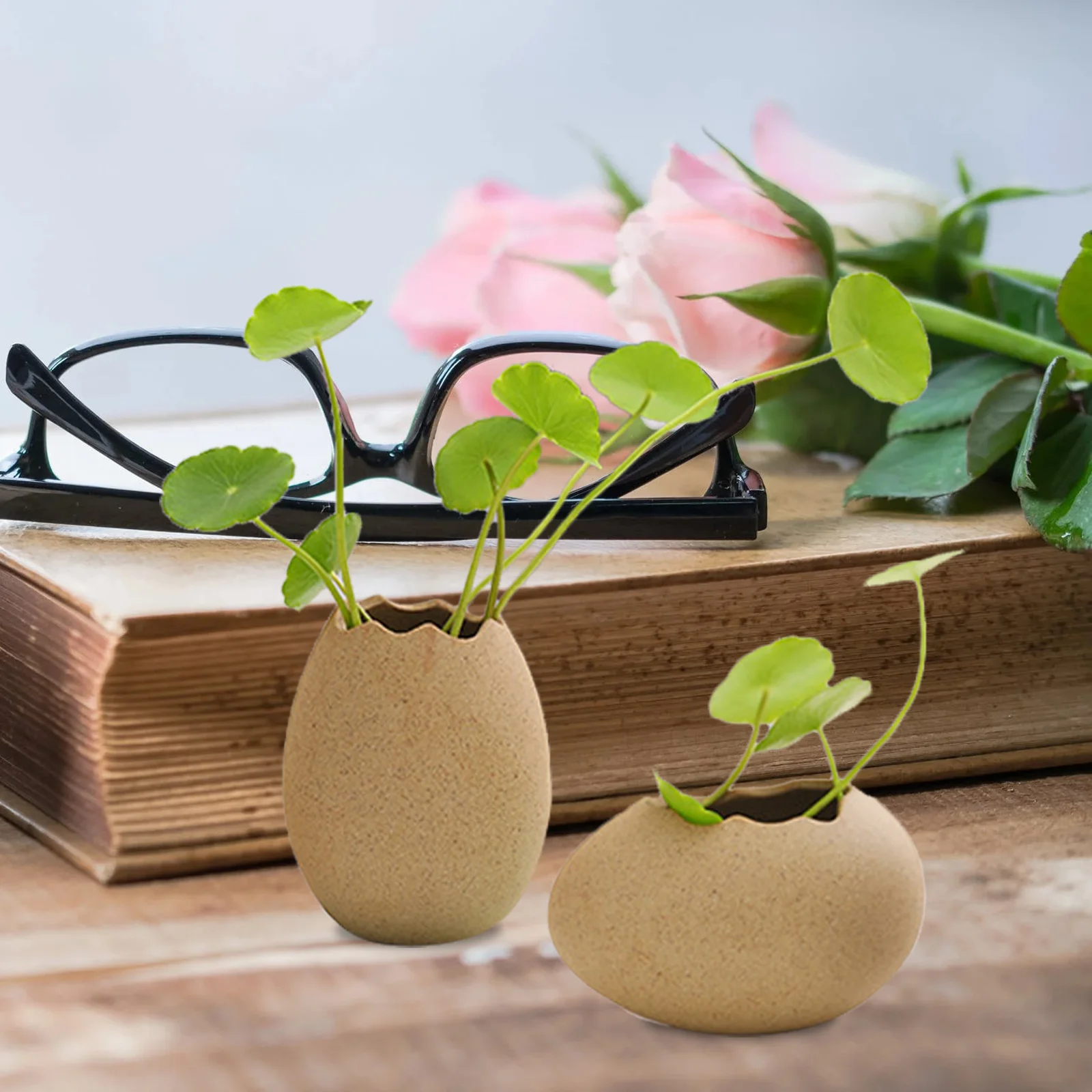 2 Pcs Small Egg Shell Vase Creative Flower Hydroponics Planting Home Pot Vases Decorative Miniature Chic Plants Container 4
