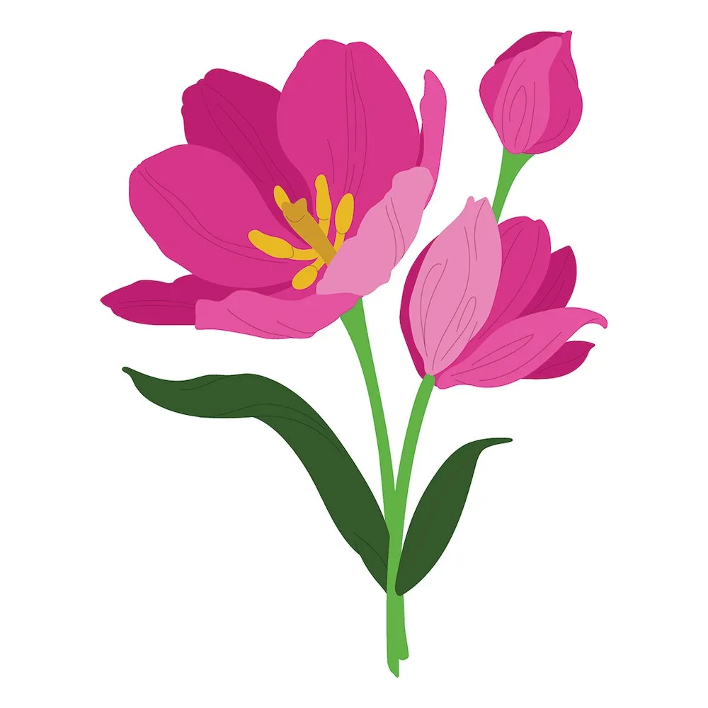 

HonB Spring Tulips for Cutting Dies New 2022 Scrapbooking Paper Making Flower Embossing Frame Craft Supplies Card no Stamps
