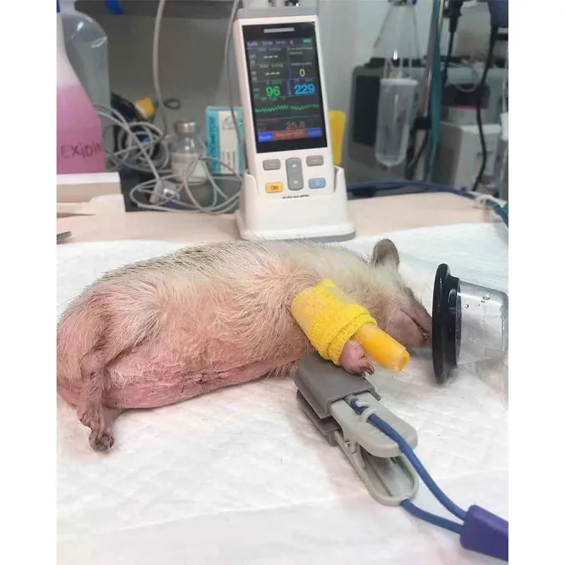 Pet Respiratory Mask Animal Anesthetics Cats Dogs Birds Pigs Rabbits Rats Exotic Oxygen Inhalation Nebulization Clinics Hospital