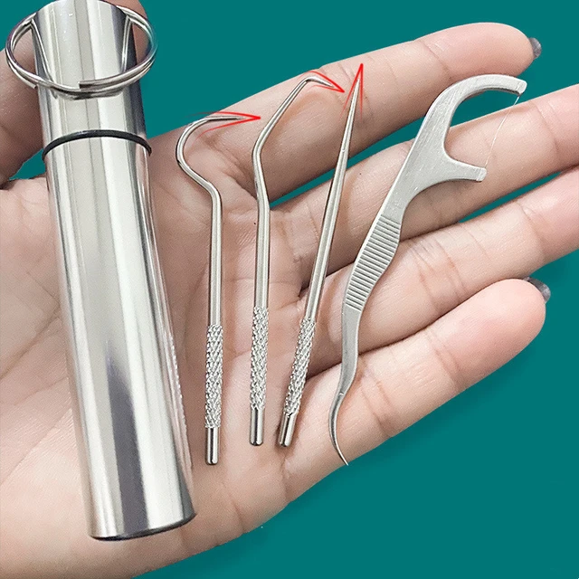 Pocket Metal Toothpick Holder Titanium Toothpicks with Protective Case