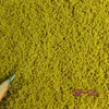Simulation Fine Tree/Grass Terrain Powder Sponge Materials 100G For HO Train Railway Building Sand Table Scene Layout 2