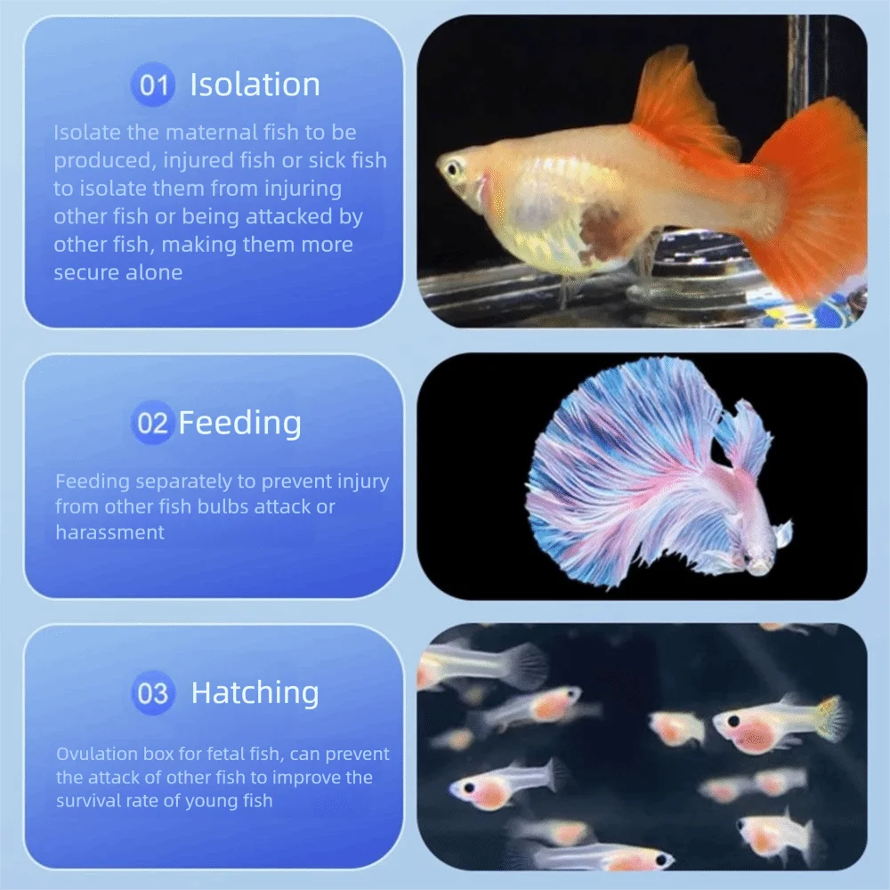 2Pcs Suction Cup Fish Breeding Isolation Box Transparent Plastic Mesh Aquarium Hatchery Accessories Multi-functional