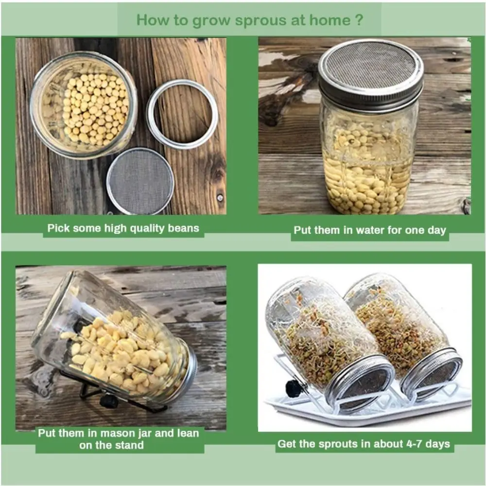 16/32oz sprouting jars with screen lids sprouts growing kit wide mouth mason jar seed germination kit indoor sprouter set sprouting jars kit