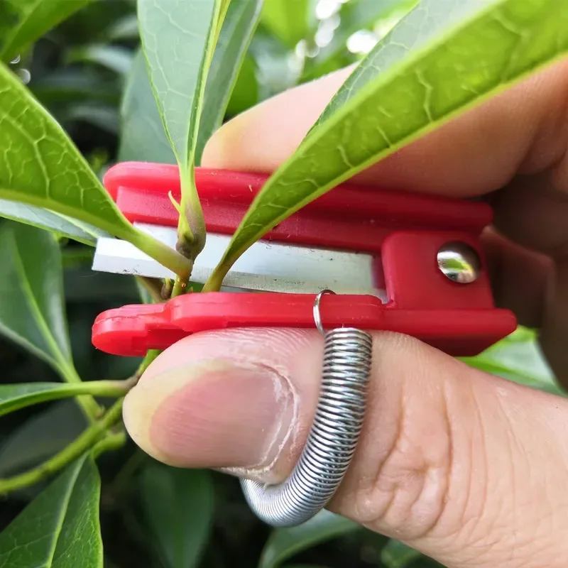 

Garden Pruner Fruit Picking Device Thumb Knife Separator Safe Fruit Blade Tool Cutting Blade Rings Finger Protector