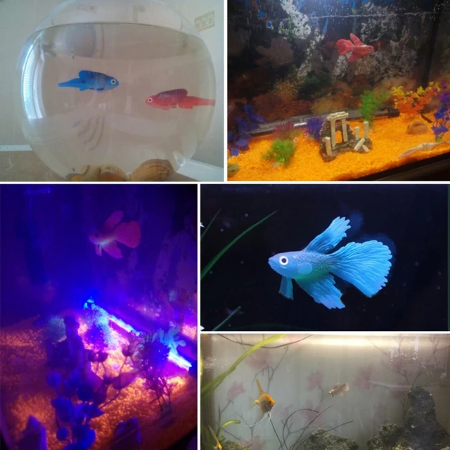 Poissons d'aquarium artificiels en plastique, lueur réaliste dans  l'obscurité, poisson rouge flottant mobile, faux ornement, décoration  précieuse - AliExpress