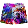New Men Tiger Cat Beach Shorts 3D Printed Starry Sky Short Pants Fashion Street Oversize Breathable Sports Gym Women Shorts 1