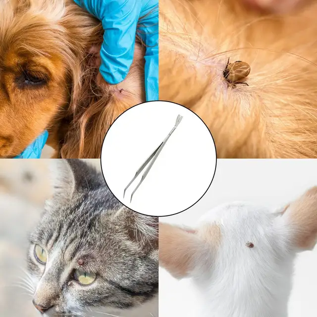 Pinzette Per Rimuovere Zecche GTEX | Doppia Punta Per Umani E Animali | Acciaio Inox | Include Guida Dimensioni - Foto 11