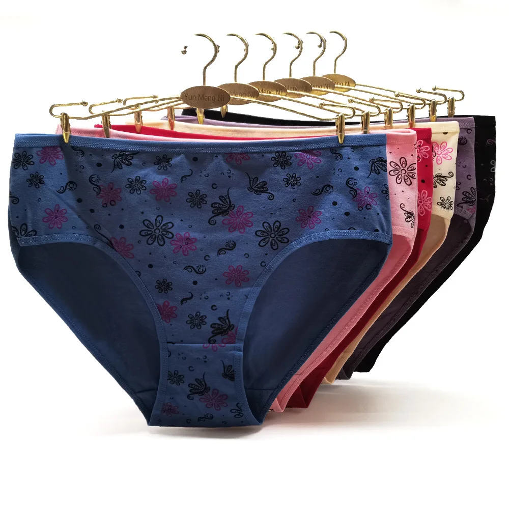 Women's Cotton Briefs 6 Pack Mid Rise Panties Image 1