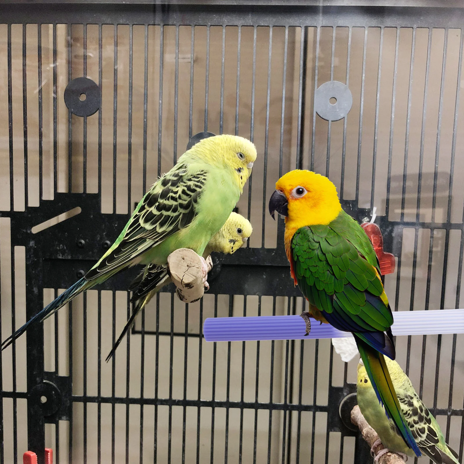 

Bird Perch Toy Parakeet Cage Silicone Perch Stand Parakeet Perch Paw Grinding Stick