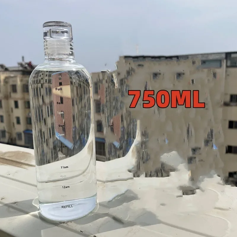 High Borosilicate Glass Leak-Proof Sports Water Bottle with Time Marker