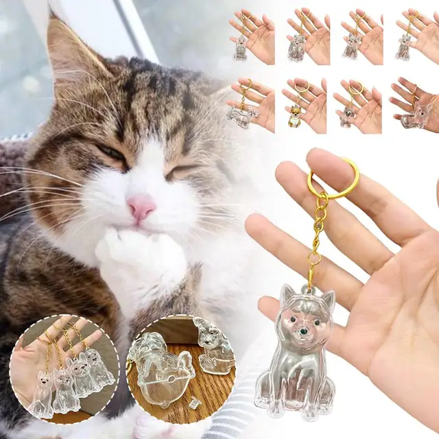 Dog Hair Collection Pendant Hair Storage Box Charm Pet Cute Keychains Clear Plastic Pet Hair Capsule Souvenirs DIY Gifts 2
